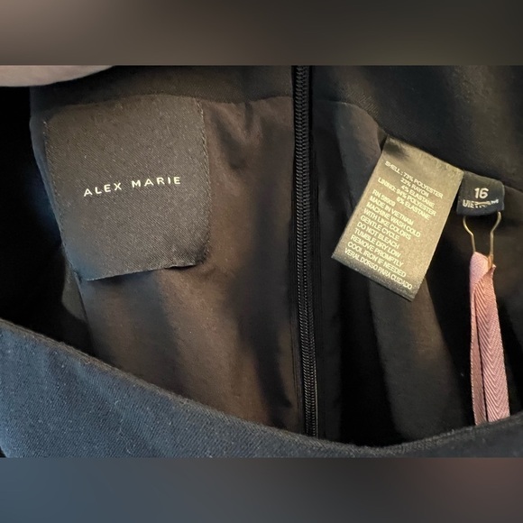 Alex Marie Skirt NWT Black lined size 16 - Picture 3 of 4